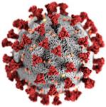 Salgono a quindici i casi di positività Coronavirus in paese. Per fortuna nessuno dei contagiati è ricoverato